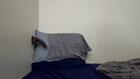 Anal assplay cumshot everytime hung bigdick online show from February 28, 4:27 am