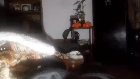 gaelrojas268938895 online show from November 4, 11:55 am