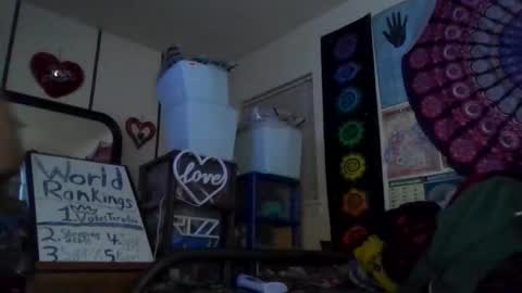 Gardenia online show from February 25, 12:31 pm