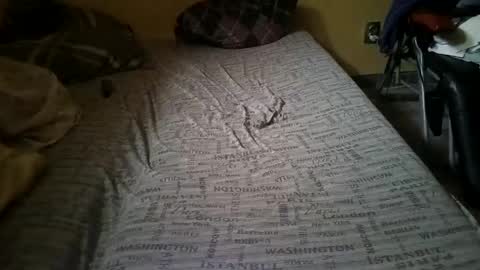 Snapshot of gazdadoka chatting on February 14, 2:23 pm gazdadjoka online show from February 14, 2:23 pm