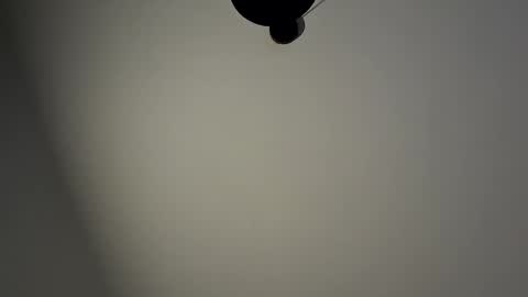 gazg1984 online show from January 29, 10:22 pm