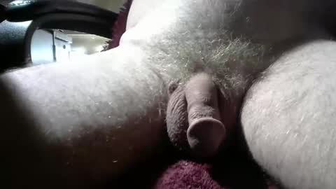 gemini_2 online show from September 9, 3:12 pm