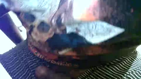 germantboy online show from September 23, 9:54 pm