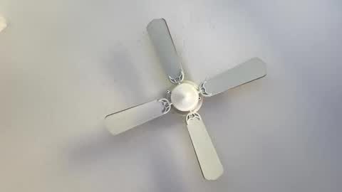 Getngetout88 online show from November 17, 4:31 pm