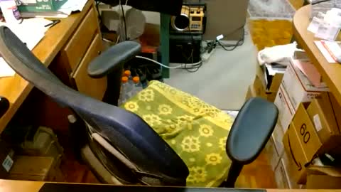 gfhdhr2 online show from May 13, 1:59 am