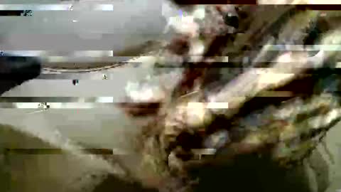 Snapshot of ghost1805 chatting on October 10, 7:03 am ghost1805 online show from October 10, 7:03 am