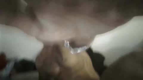 gigio492495 online show from March 15, 12:04 am