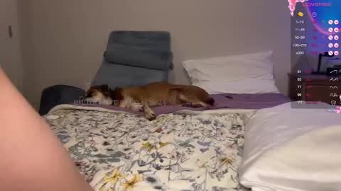 gigi online show from February 5, 1:58 am