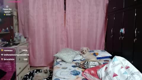 Mary online show from November 26, 5:05 am