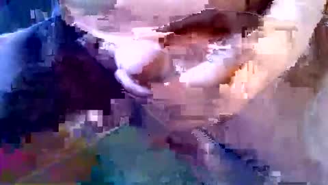 girafsnoop online show from September 27, 9:18 am