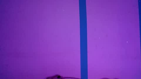 Alejandra online show from April 3, 6:42 am