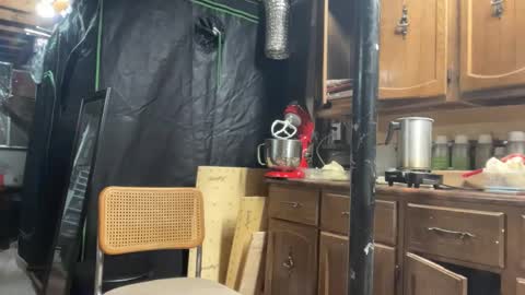 globalmovement online show from March 25, 7:31 pm