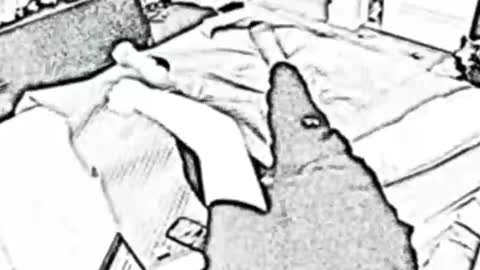 g-love-pnw online show from April 26, 4:21 am