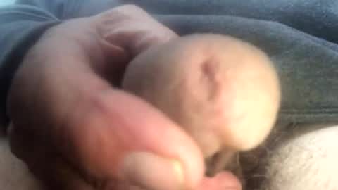 gngnxxx online show from December 5, 7:11 pm