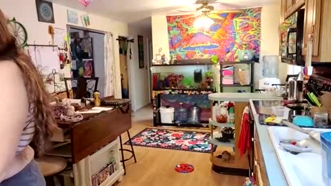 goodgirlcelestecat online show from November 21, 4:05 pm