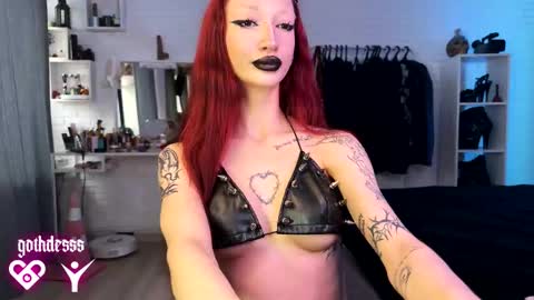    online show from November 8, 7:00 am