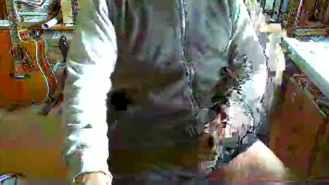 greyhounddog online show from November 15, 10:17 am