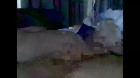 grittslappa online show from May 3, 1:55 am