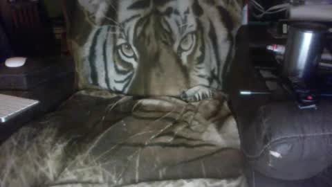 grtlakesman online show from January 12, 3:57 am