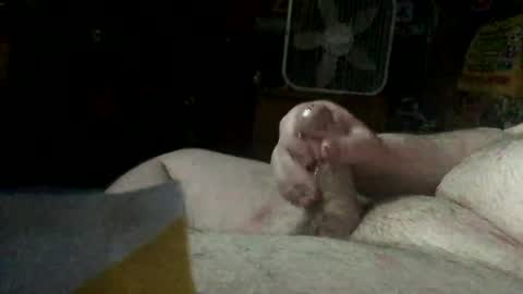 gsdfv34 online show from January 19, 4:11 am