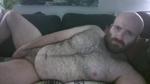 Hairiest Bear online show from March 30, 8:58 am