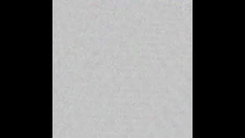 Hairy Tyler online show from October 19, 3:38 pm