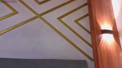 ANA online show from January 17, 1:20 pm