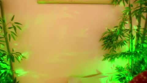 HappyAlice online show from September 18, 5:33 am