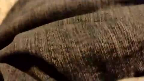 hardandhorny422 online show from January 5, 6:44 pm