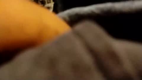 hardandhorny422 online show from April 4, 8:16 pm