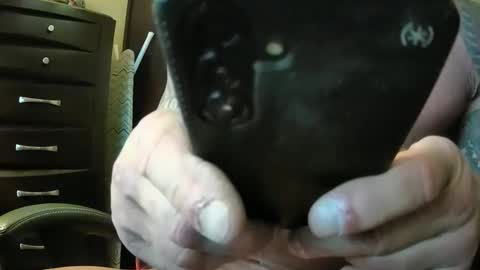 hardbody205a online show from October 18, 8:57 pm