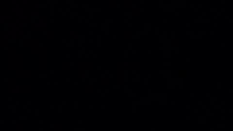 Iordan online show from December 24, 1:38 am