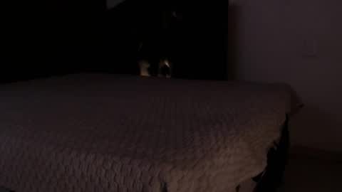 Sebastian online show from February 24, 4:54 pm