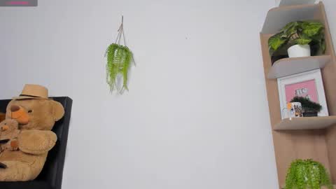 alan y zack online show from November 24, 12:48 pm