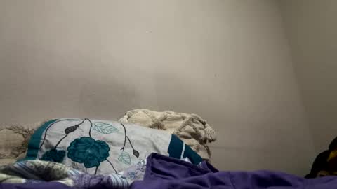 hellokitten123 online show from January 28, 9:40 pm