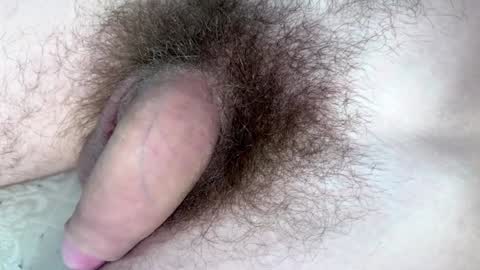 Arnold online show from January 29, 9:17 pm