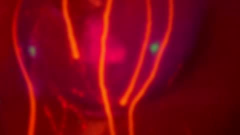 Alina online show from November 11, 5:04 pm