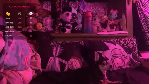 HiGHNESS CANNA online show from March 12, 5:00 am