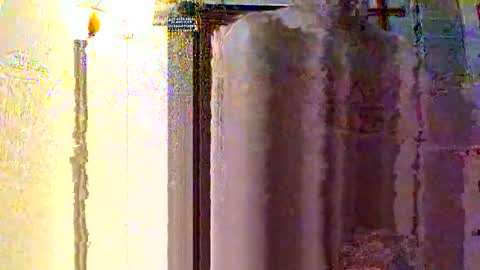 hoglegg99384194 online show from November 21, 10:24 am