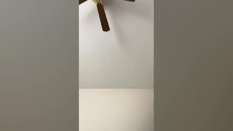 hookman461 online show from February 3, 8:02 pm