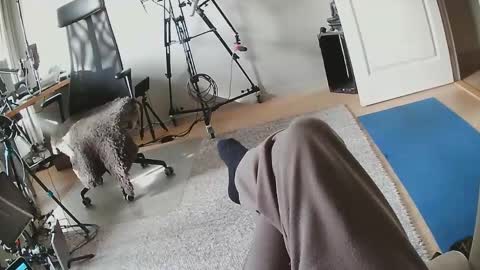 horny_edgucated online show from April 16, 6:57 am