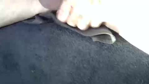 Snapshot of horse_dick9 chatting on November 1, 7:51 am horse_dick9 online show from November 1, 7:51 am