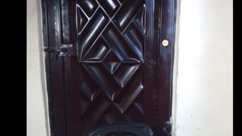 Coco online show from November 23, 7:50 am