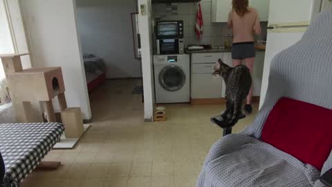 Hikikomori Alex online show from December 24, 9:50 am