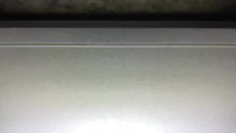 Jack online show from February 5, 3:23 am