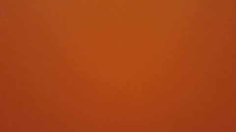 hundeleine online show from December 19, 11:27 am