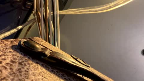 hung_hard_spun online show from July 16, 5:16 pm