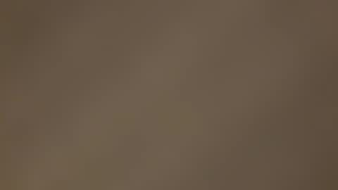 Frednvelma online show from January 13, 6:59 pm