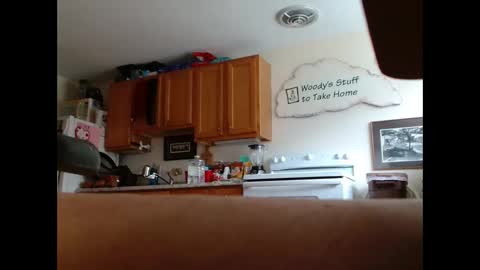 hunglikeahorse063790 online show from April 13, 9:08 pm