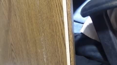 hungsofine online show from January 13, 10:03 pm